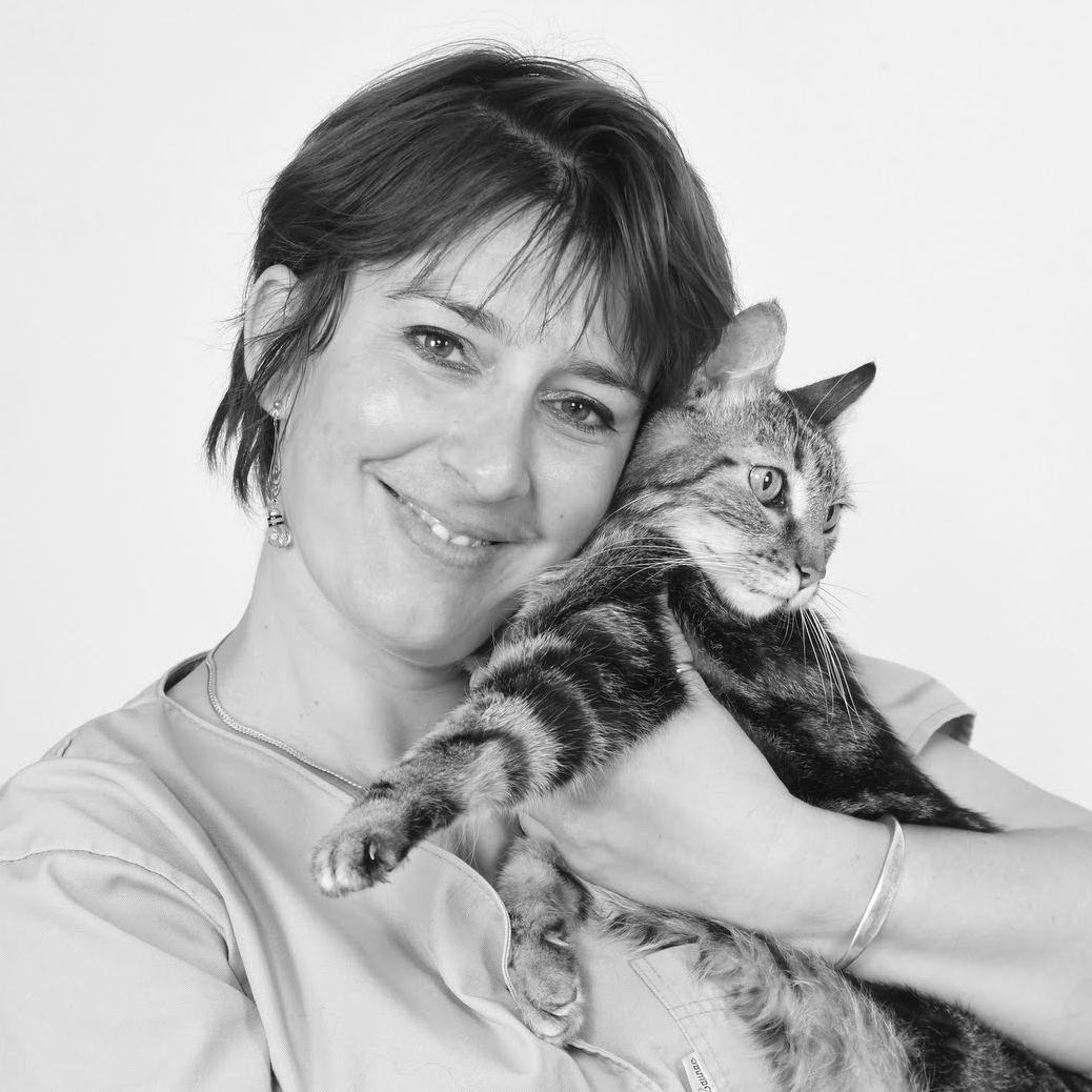 Andrée A