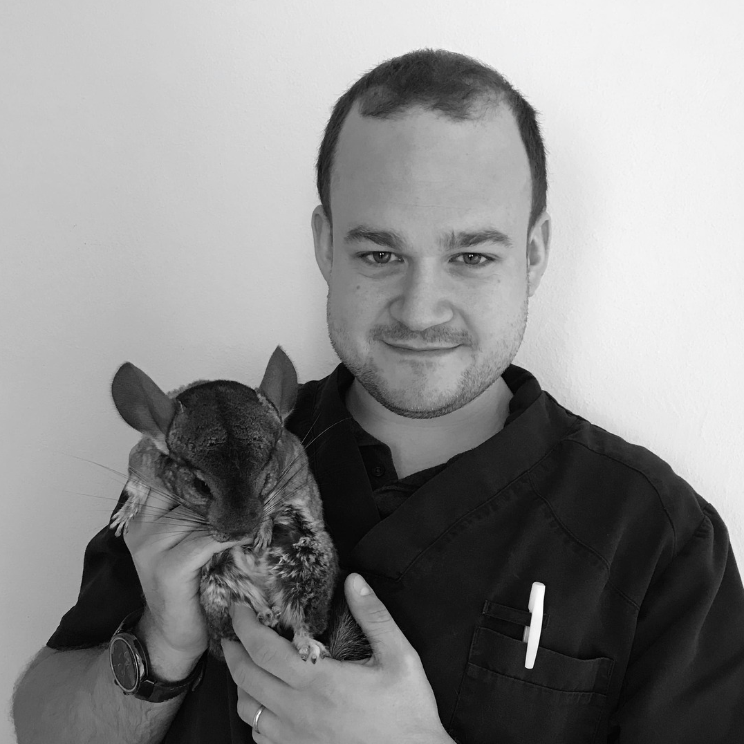 Raphaël PFERSCH