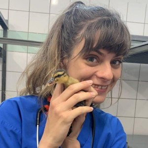 Clémentine BONNEAULT