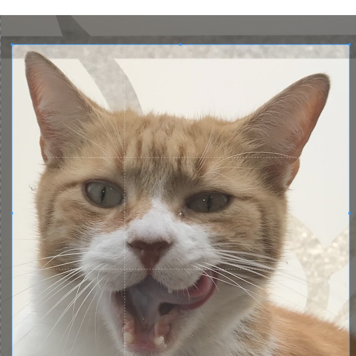 Monsieur CARAMEL