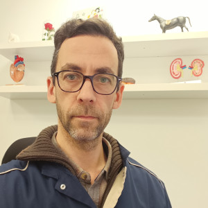 Stéphane BERCKMANS