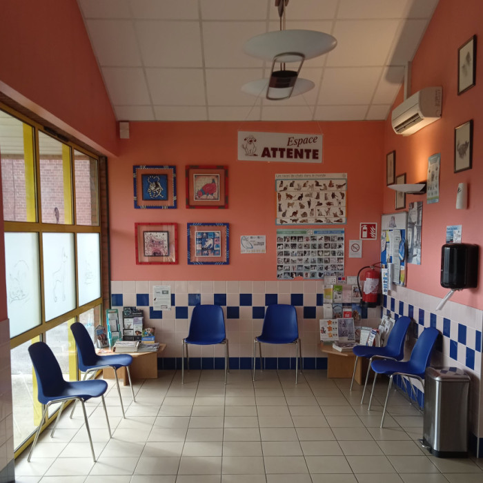 Espace d'attente pour les chiens