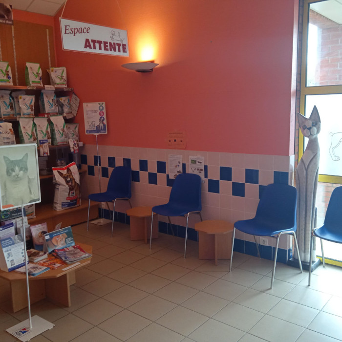 Espace d'attente pour les chats