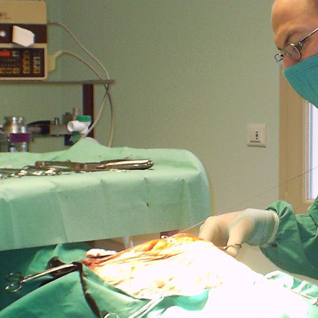 Chirurgie