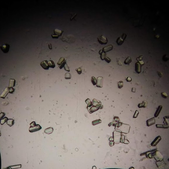 ANALYSE DE LABORATOIRE