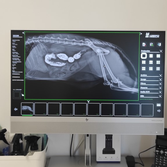 Imagerie: Radiologie numérique et échographie