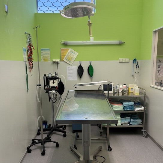 CHIRURGIE