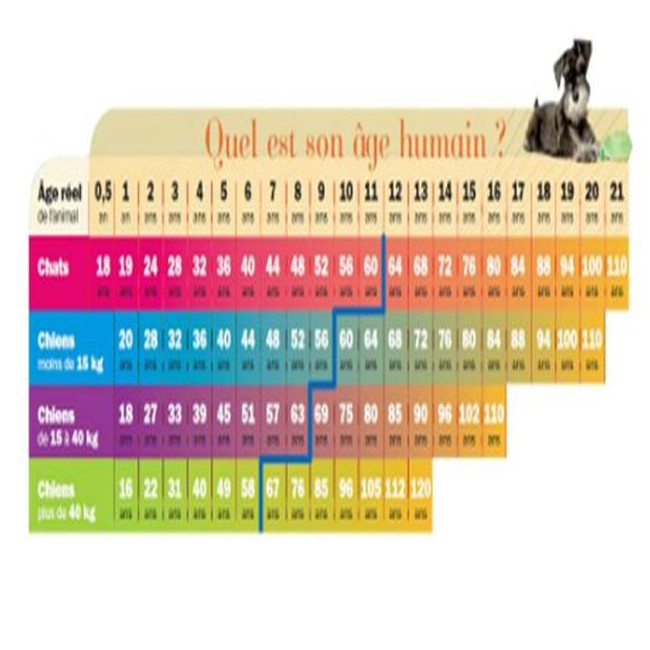 L’examen de santé annuel