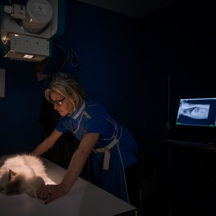 Radiographie numérique