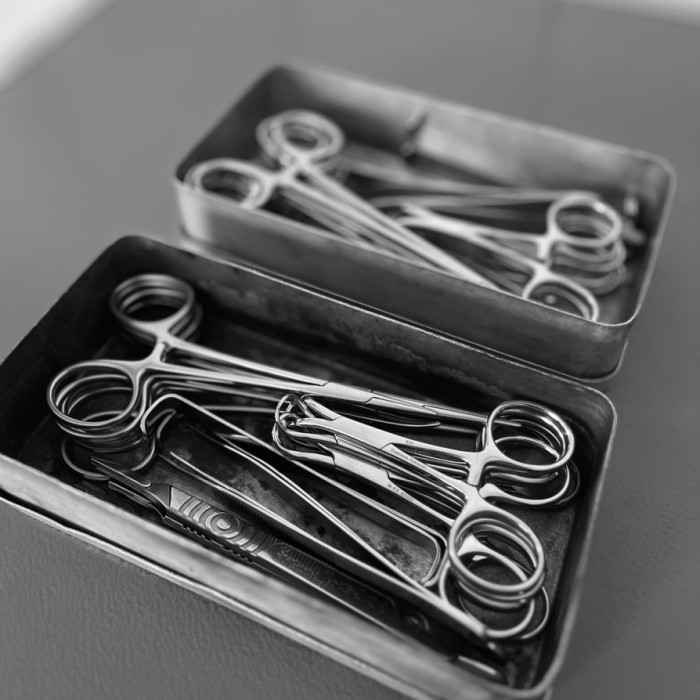 CHIRURGIE à la Clinique Vétérinaire du Lescourre