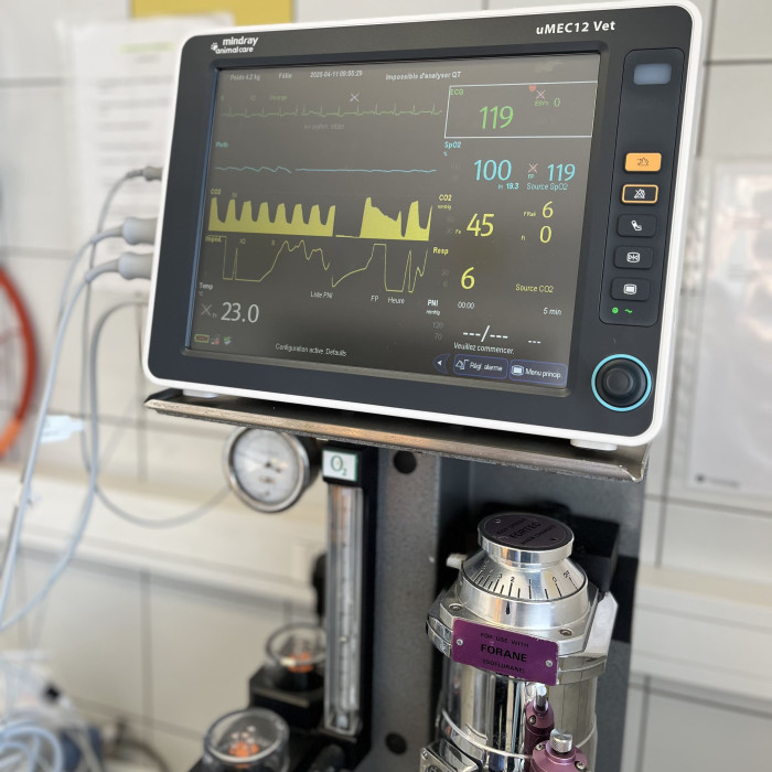 Service d'ANESTHESIE à la Clinique vétérinaire du Lescourre à Lescar - Pau ouest