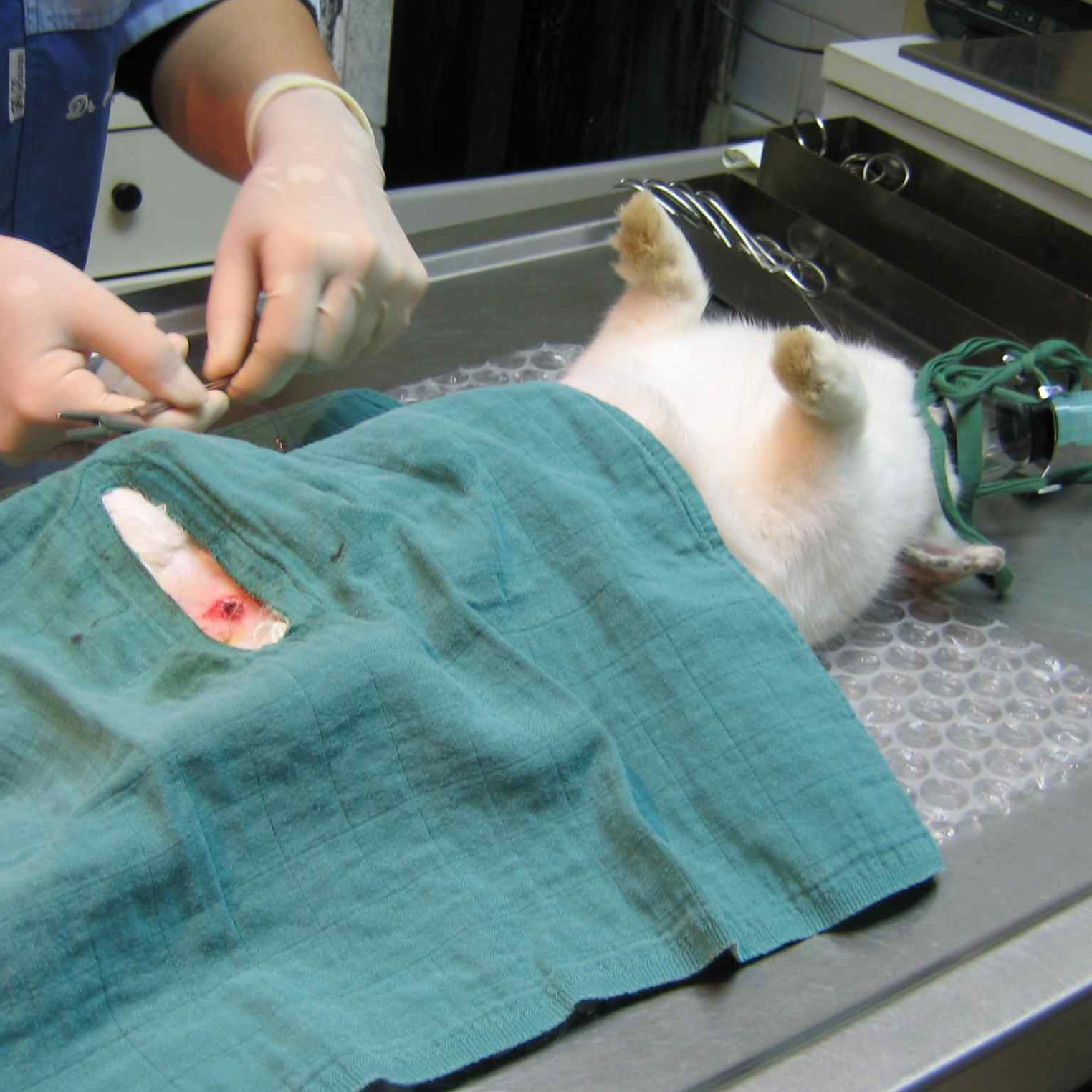 Chirurgie et hospitalisation
