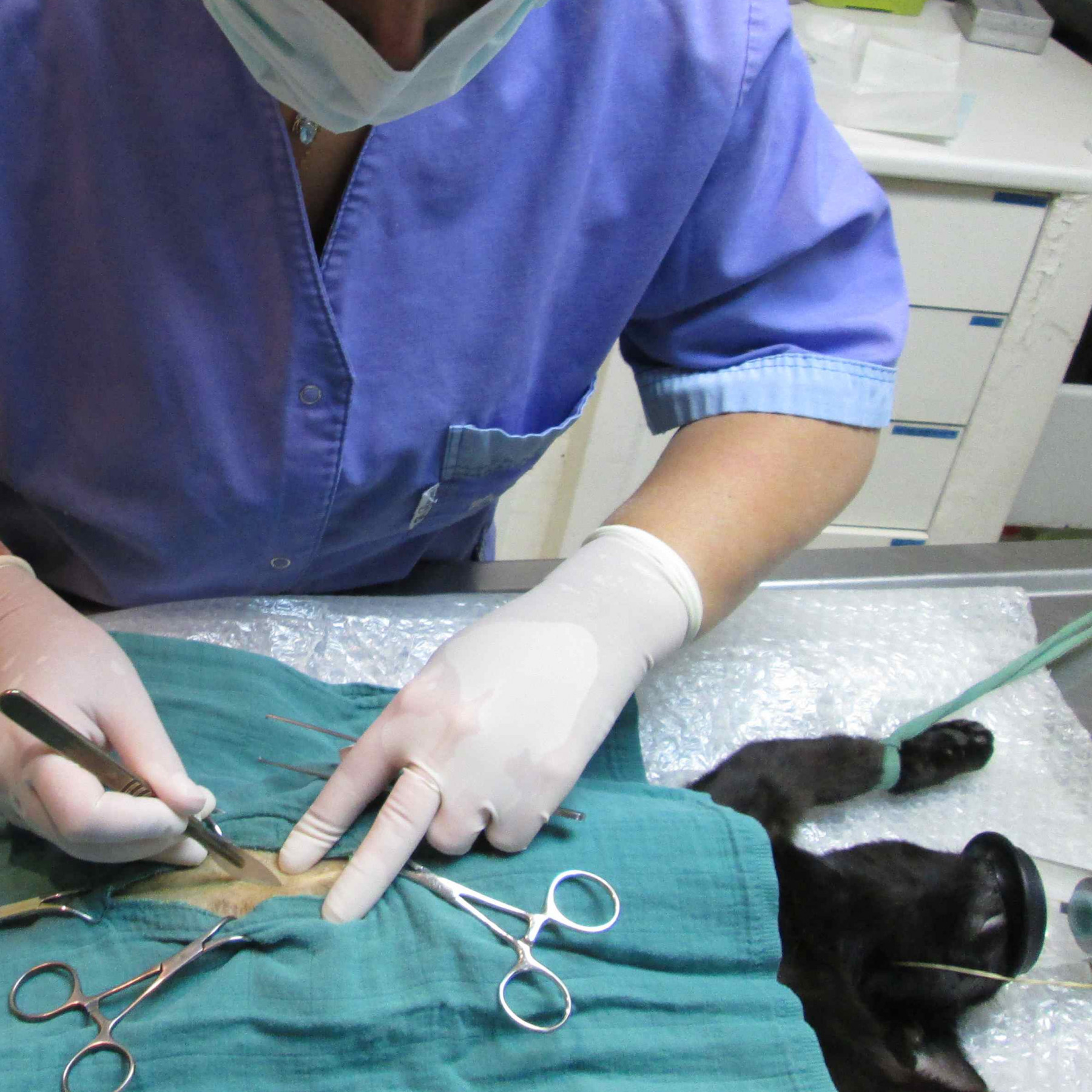 Chirurgie et hospitalisation