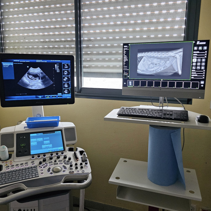 echographie radiographie vétérinaire 44360
