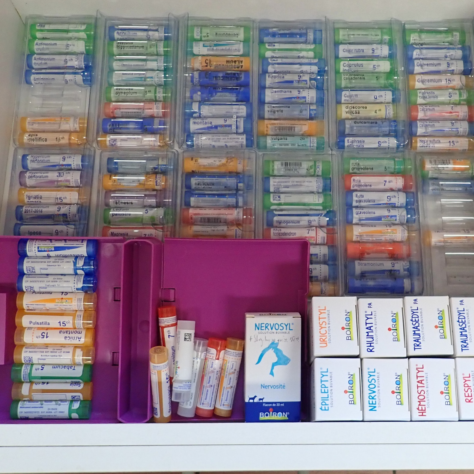 Autres médecines complémentaires : la médecine intégrative