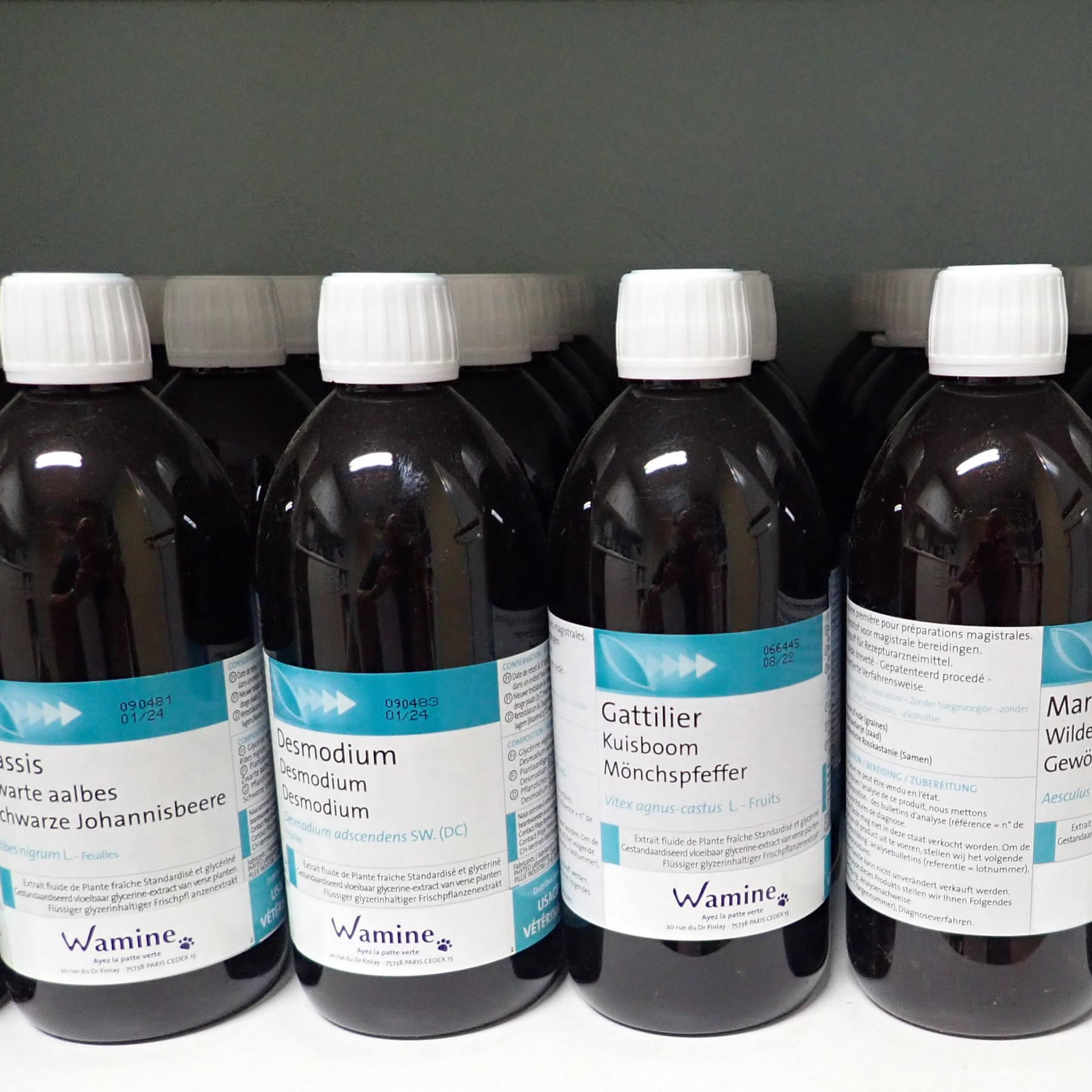 Autres médecines complémentaires : la médecine intégrative