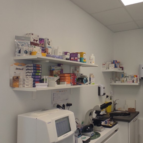 Analyses de laboratoire (biochimie, hémogramme, cytologie, cultures…).