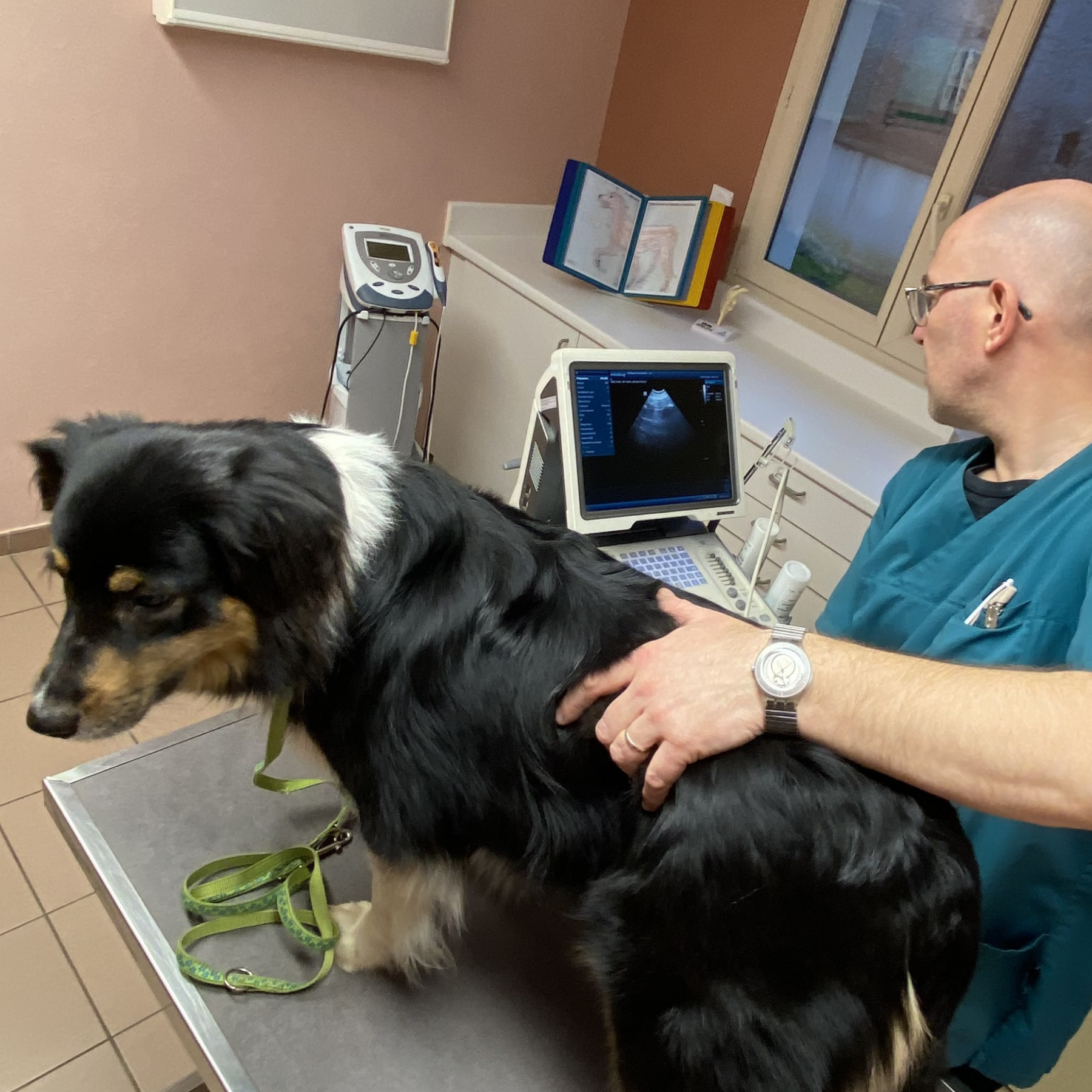 L’imagerie médicale
