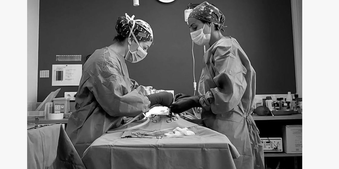 Chirurgie