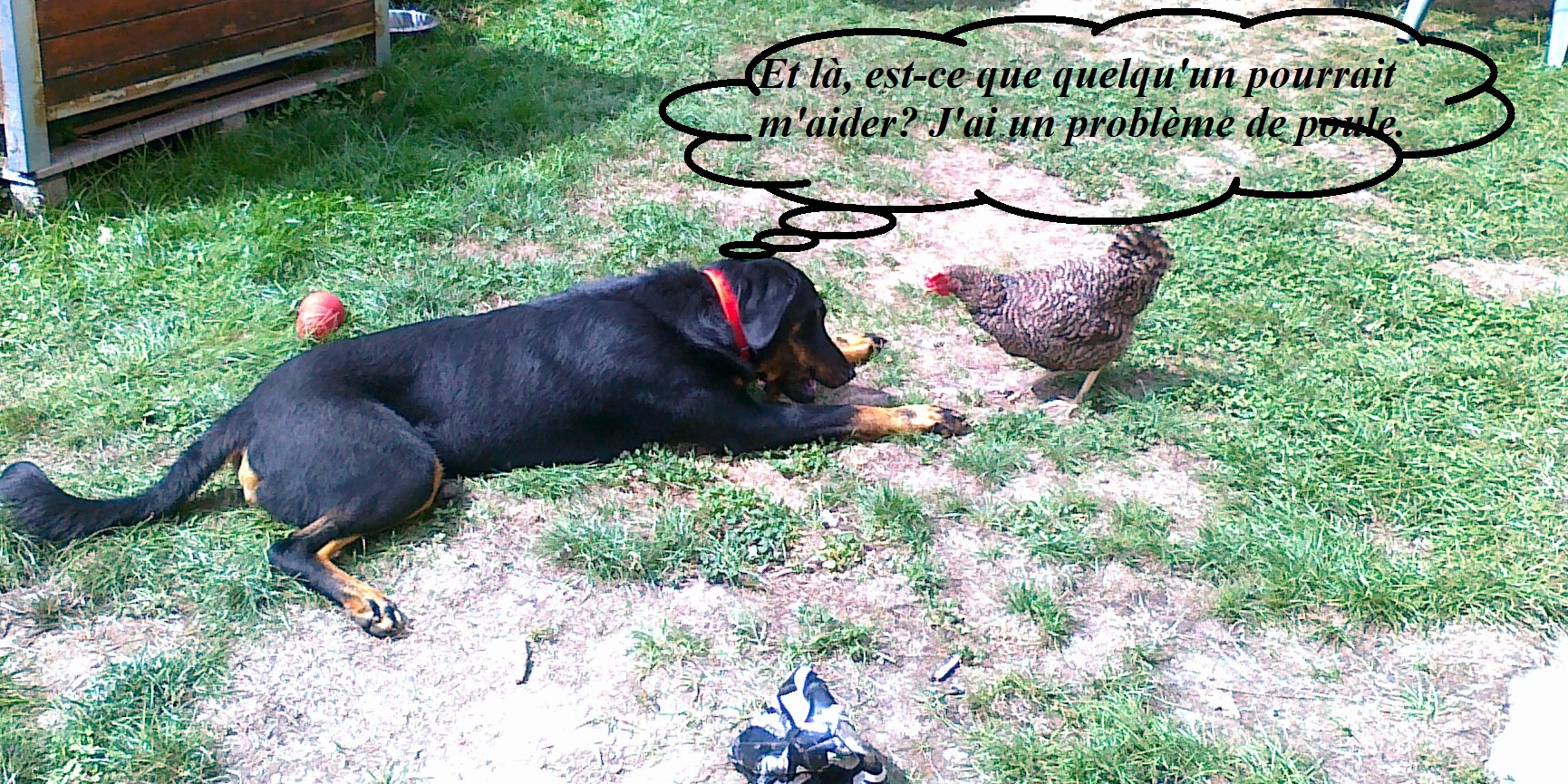 d41d8cd98f00b204e9800998ecf8427e