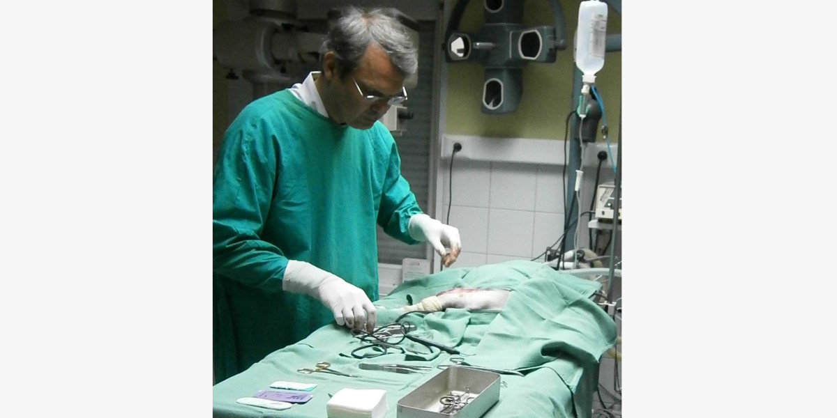 Nos services