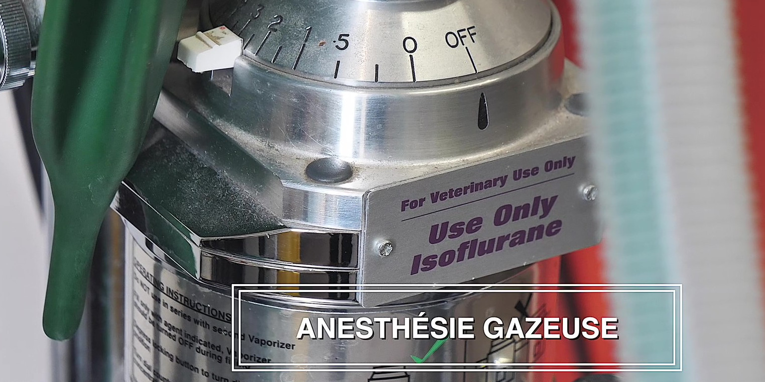 O'ptits soins-4k_Moment Anesthesie gazeuse