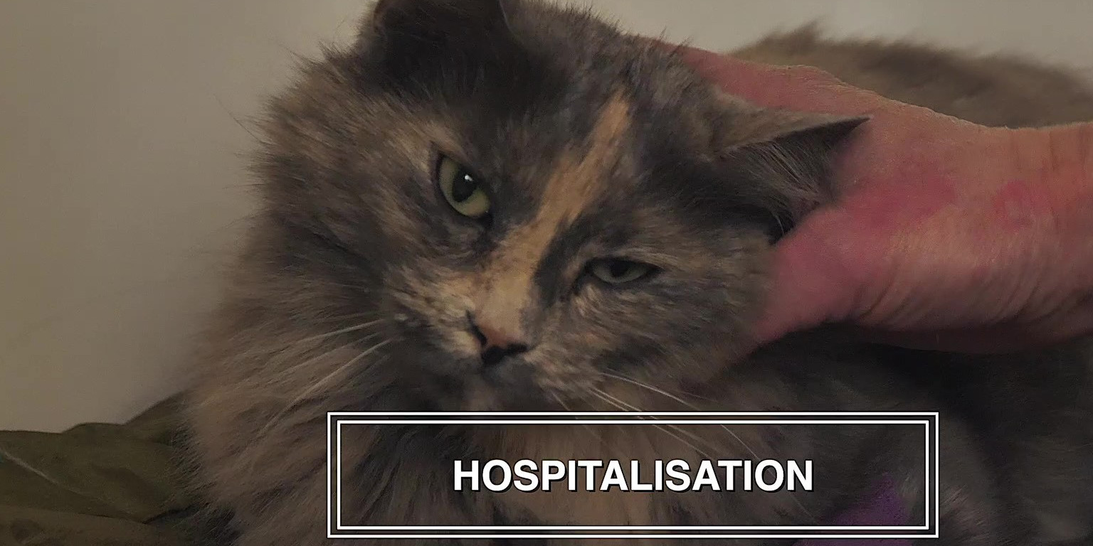 O'ptits soins-4k_Moment Hospitalisation-1