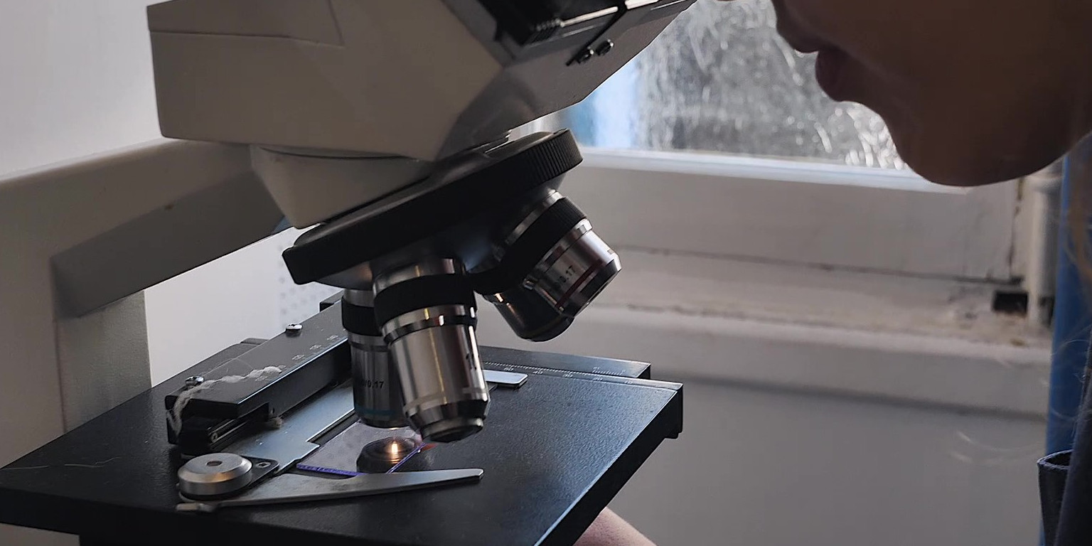 O'ptits soins-4k_Moment Microscope