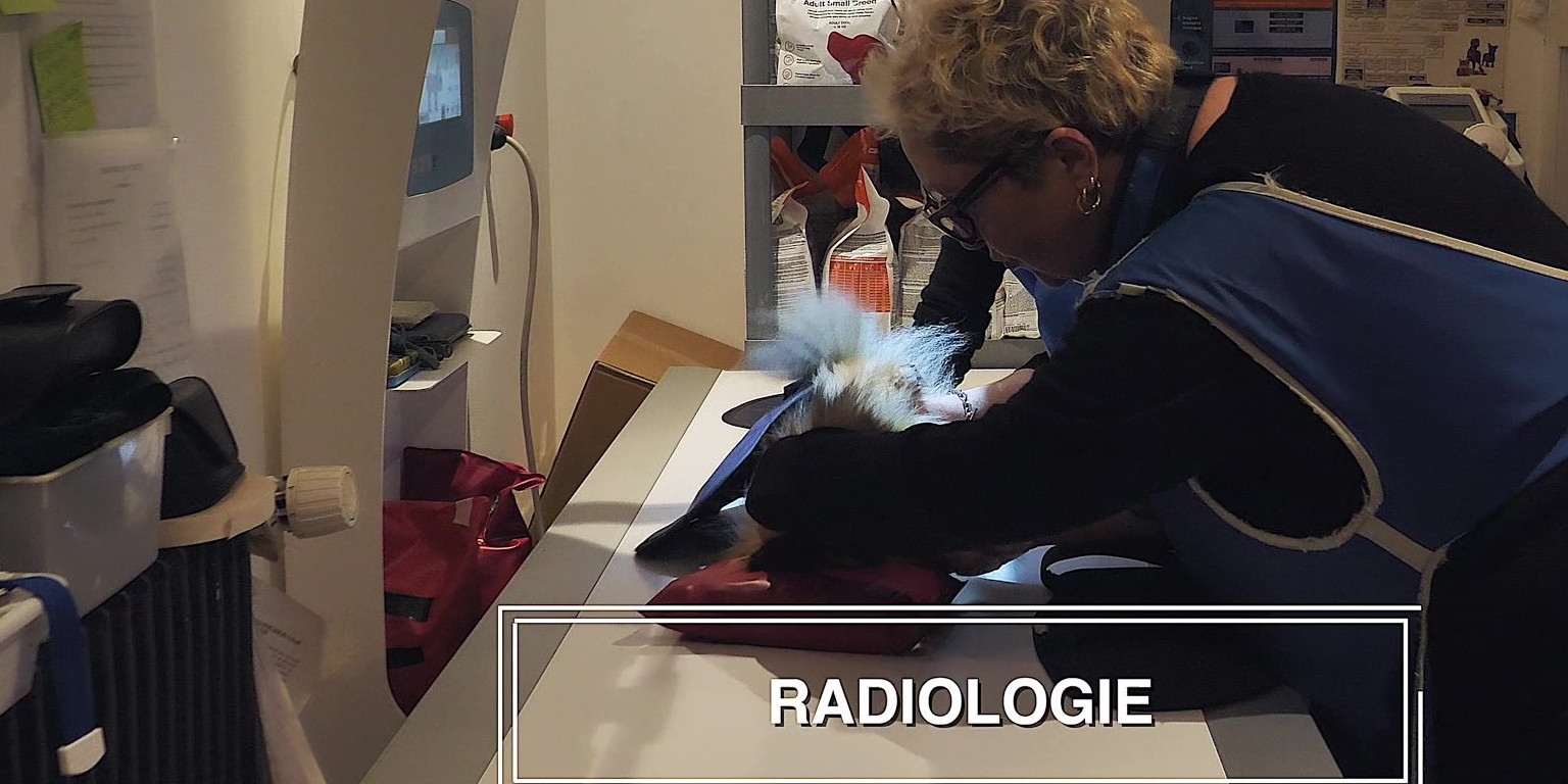 O'ptits soins-4k_Moment Radiologie
