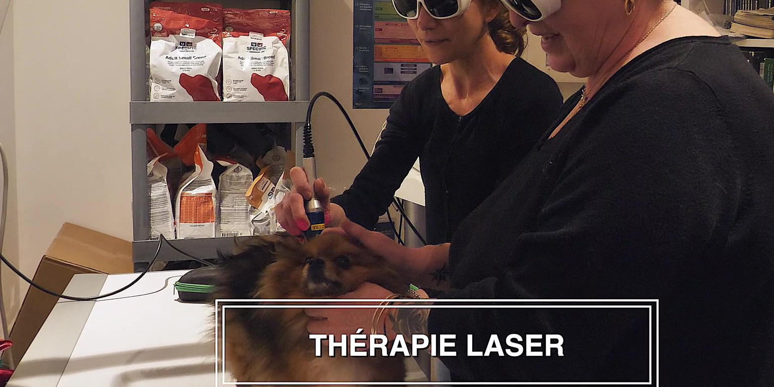 O'ptits soins-4k_Moment Thérapie Laser