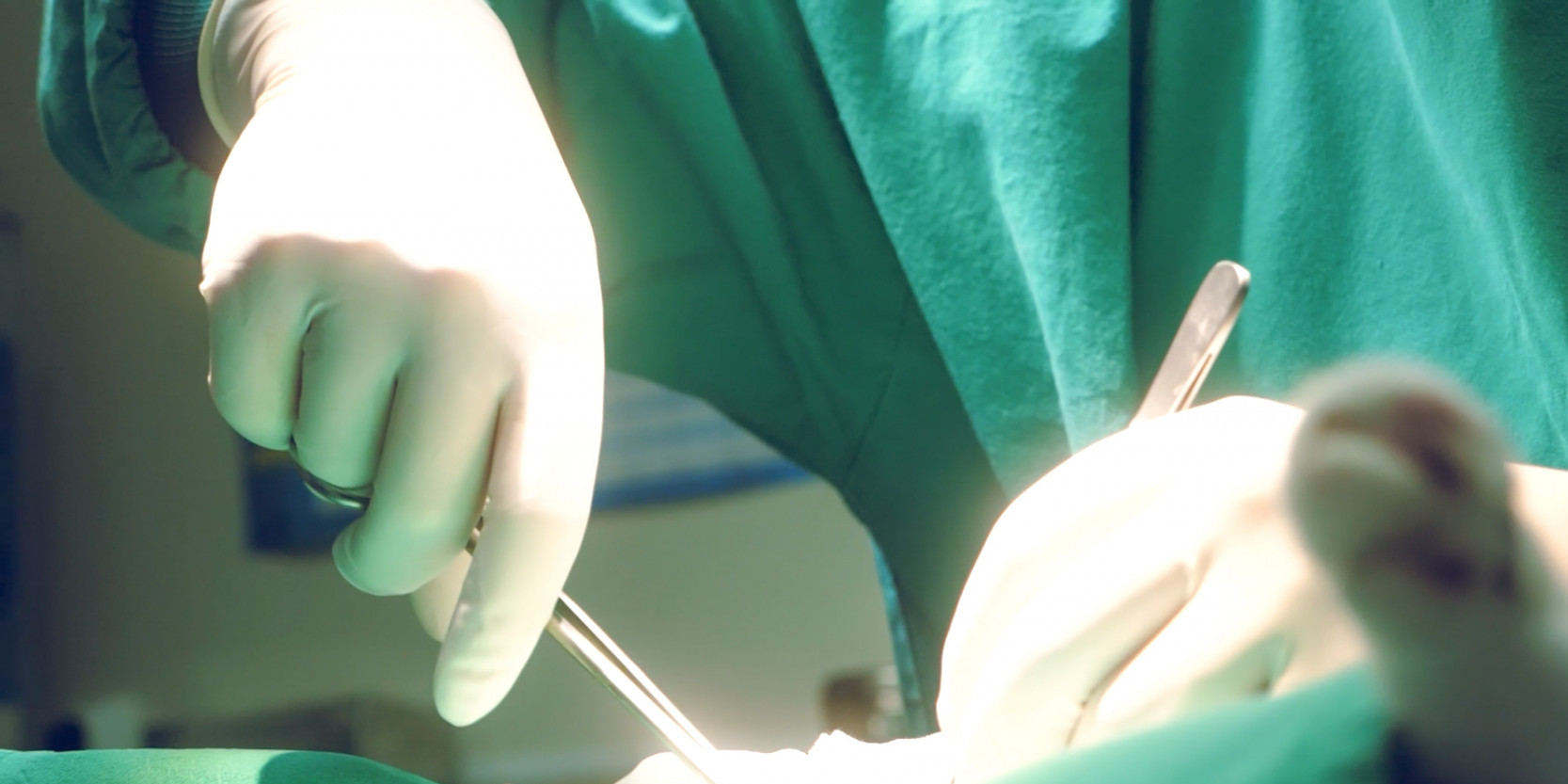Pont 7