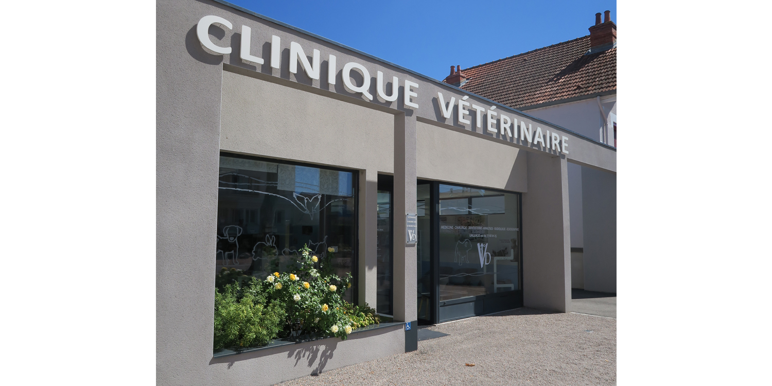 Nos services