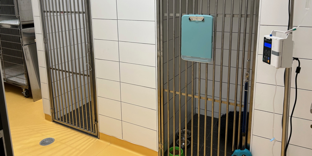 Hospitalisation chien