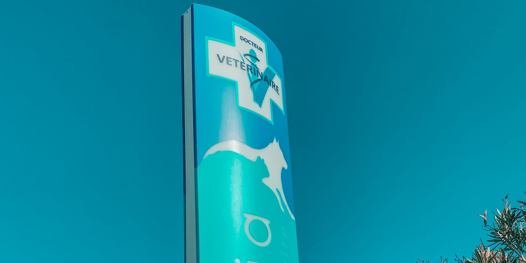 Notre totem !
