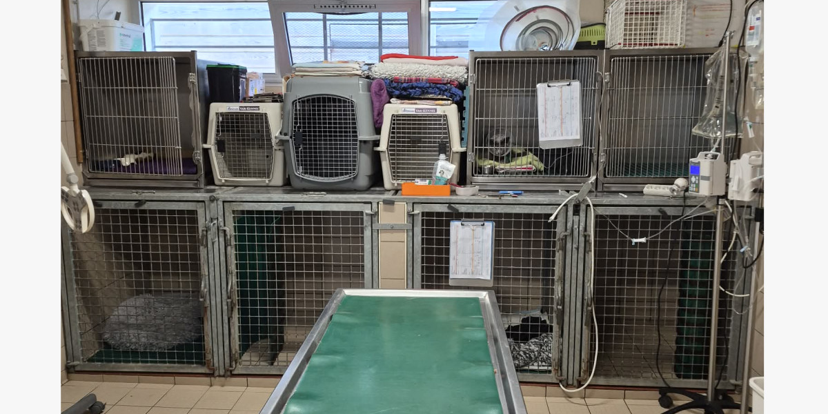 image-1757193235657705