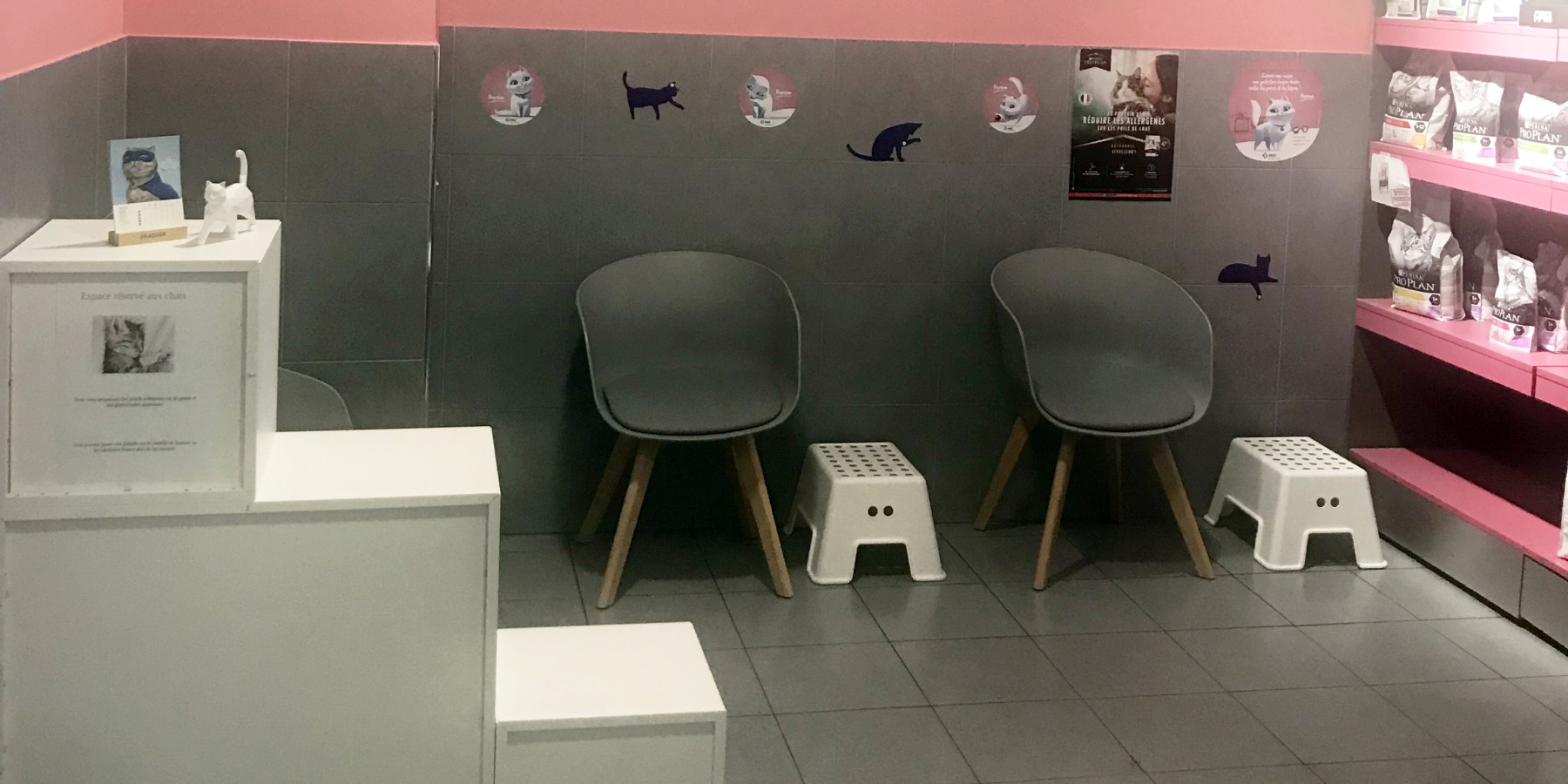 Espace d'accueil réservé aux chats