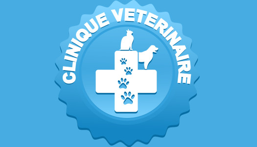 PetVetClinic Boussy