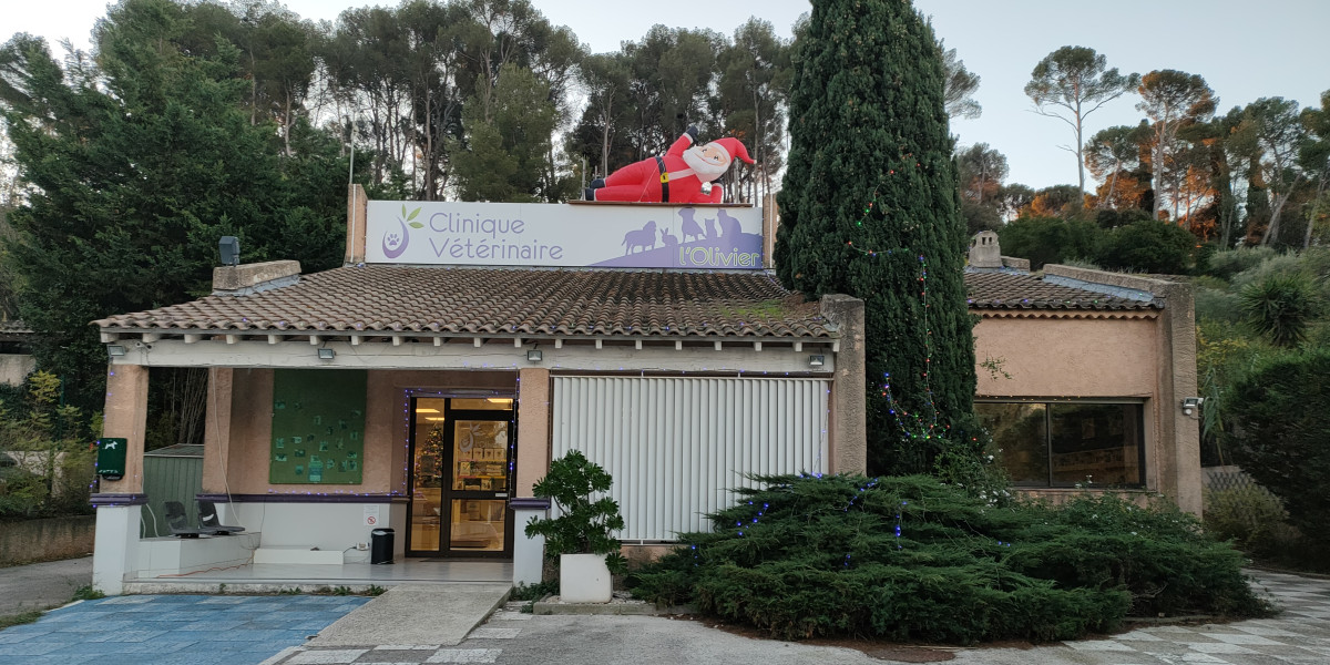 IMG20231215080915