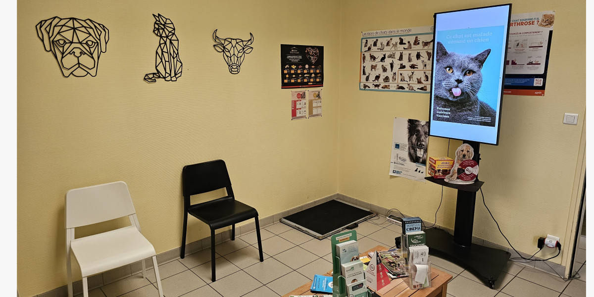 salle attente clinique vétérinaire 44360
