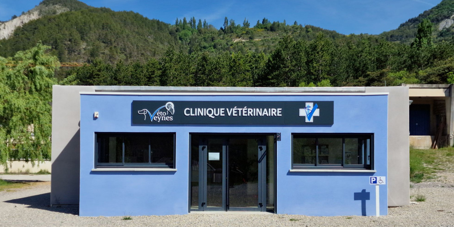 Notre structure