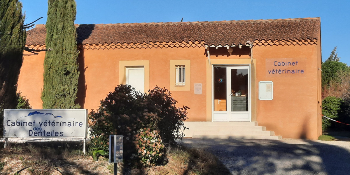 Bienvenue au cabinet vétérinaire des dentelles !