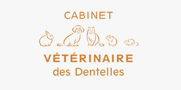 logo-orange-CVD