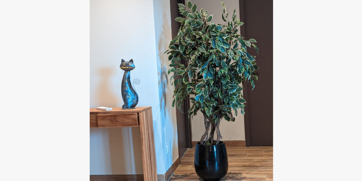 veterinaire-saint-julien-les-rosiers