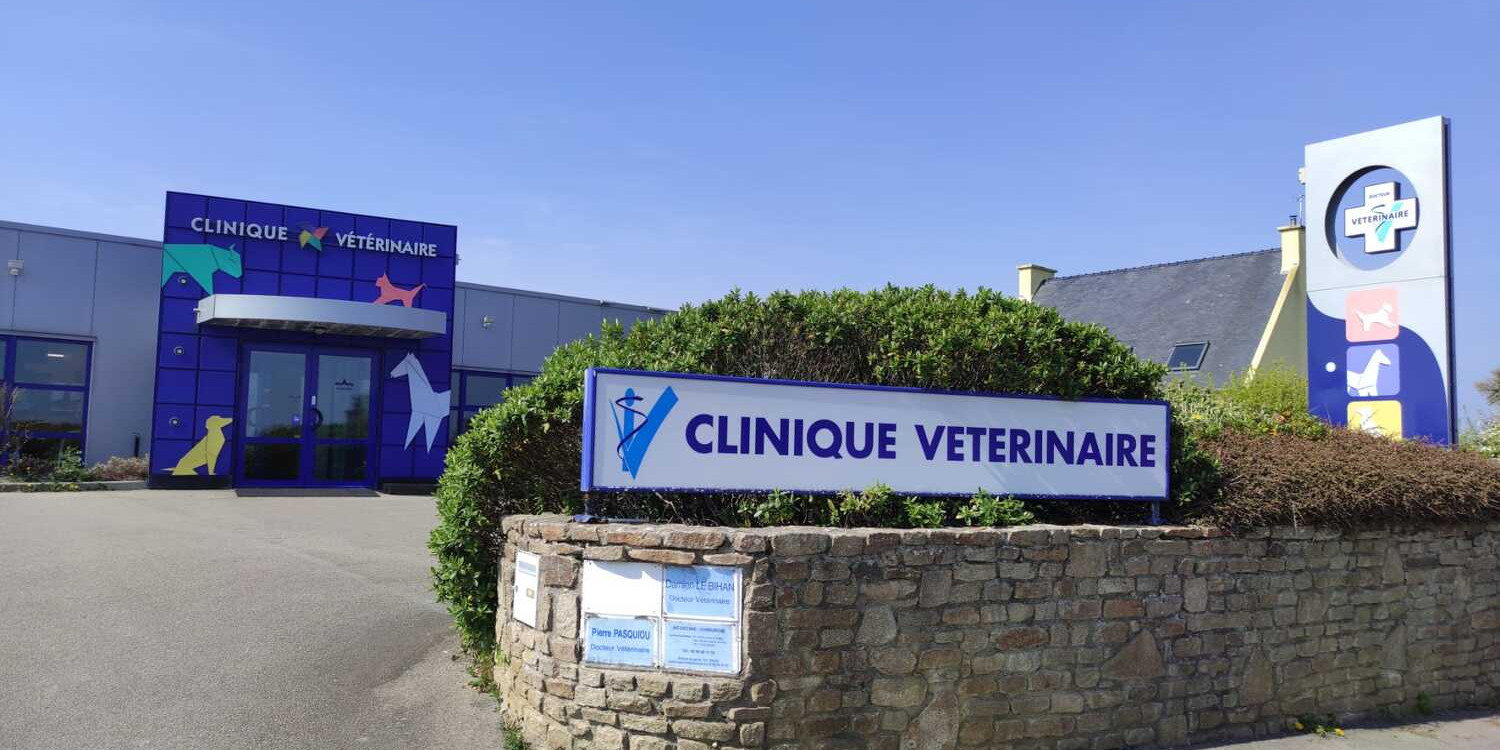 Notre structure