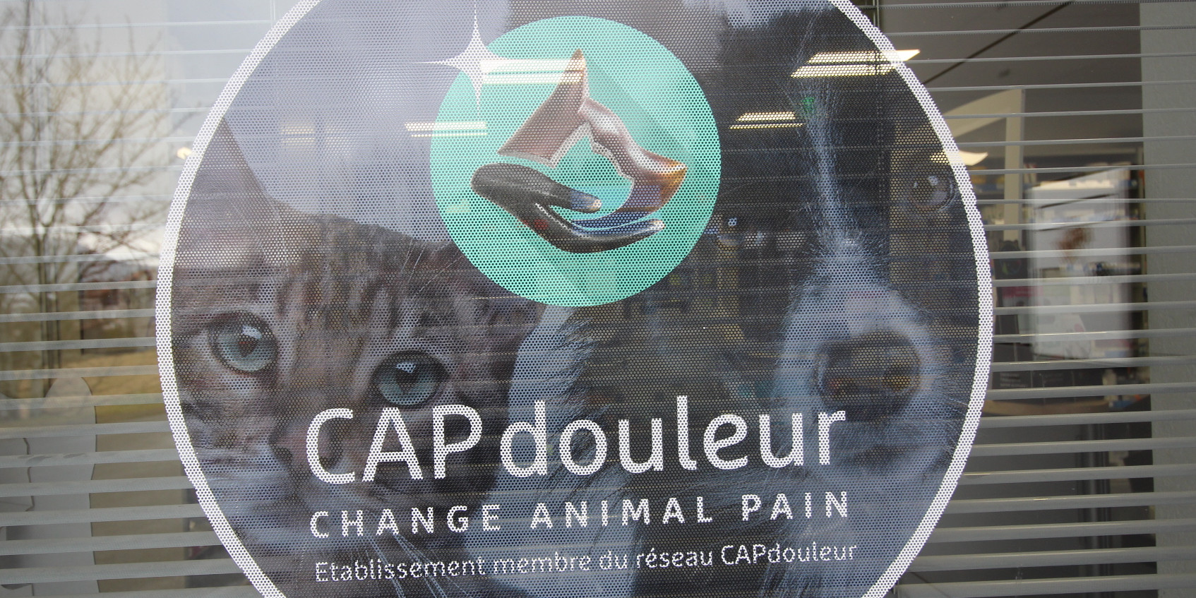 cap douleur