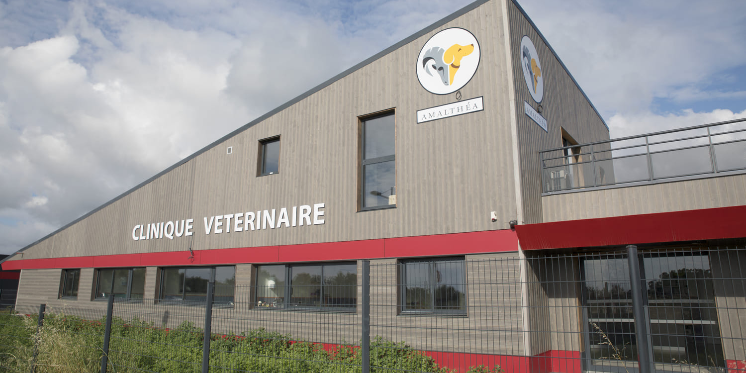 Notre structure